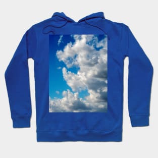 Cloudy day in Heaven Hoodie